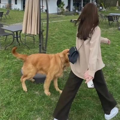 棕榈泉不思议